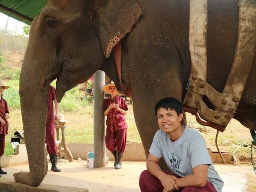 2 Days 1 Night Elephant Care & Overnight